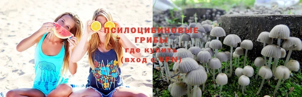 apvp Липки