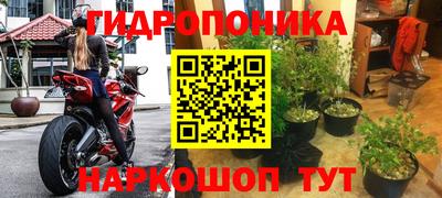 гашик Краснокаменск