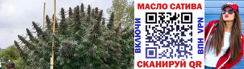 даркнет сайт Кингисепп Дистиллят ТГК THC oil