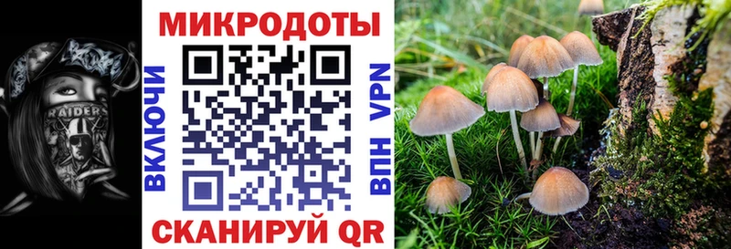 Галлюциногенные грибы GOLDEN TEACHER Кингисепп