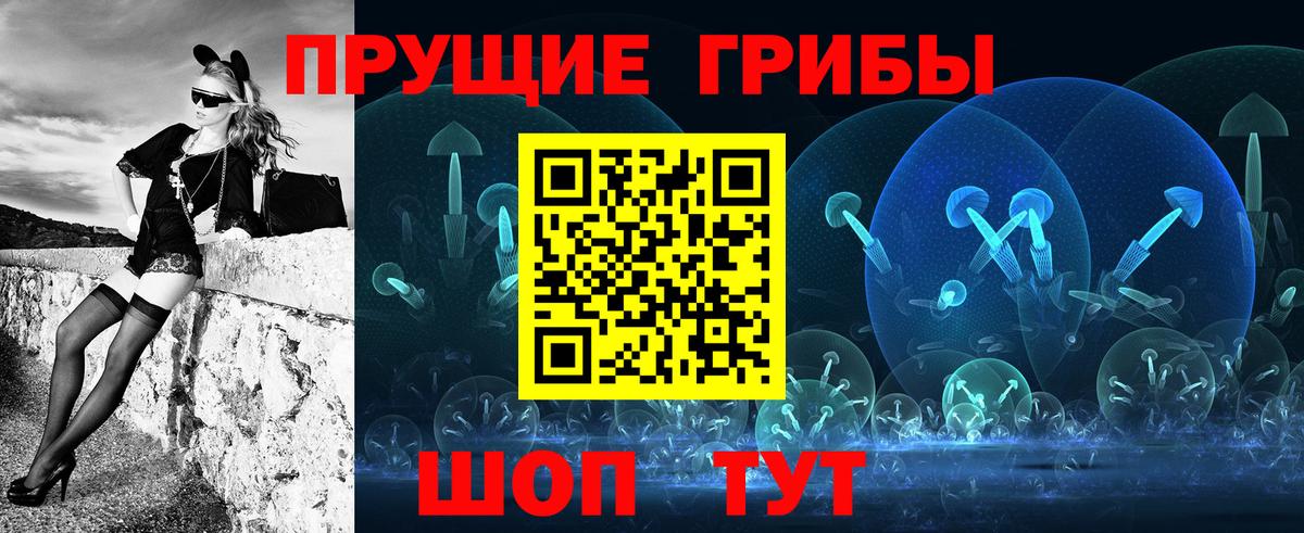 Галлюциногенные грибы мицелий Кингисепп