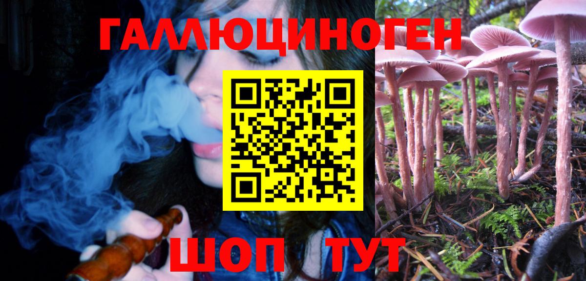 MDMA  Кингисепп  Хэш  СОЛЬ CK  Мефедрон  Канабис  Codein  КОКАИН  Вход с VPN  Гарик 